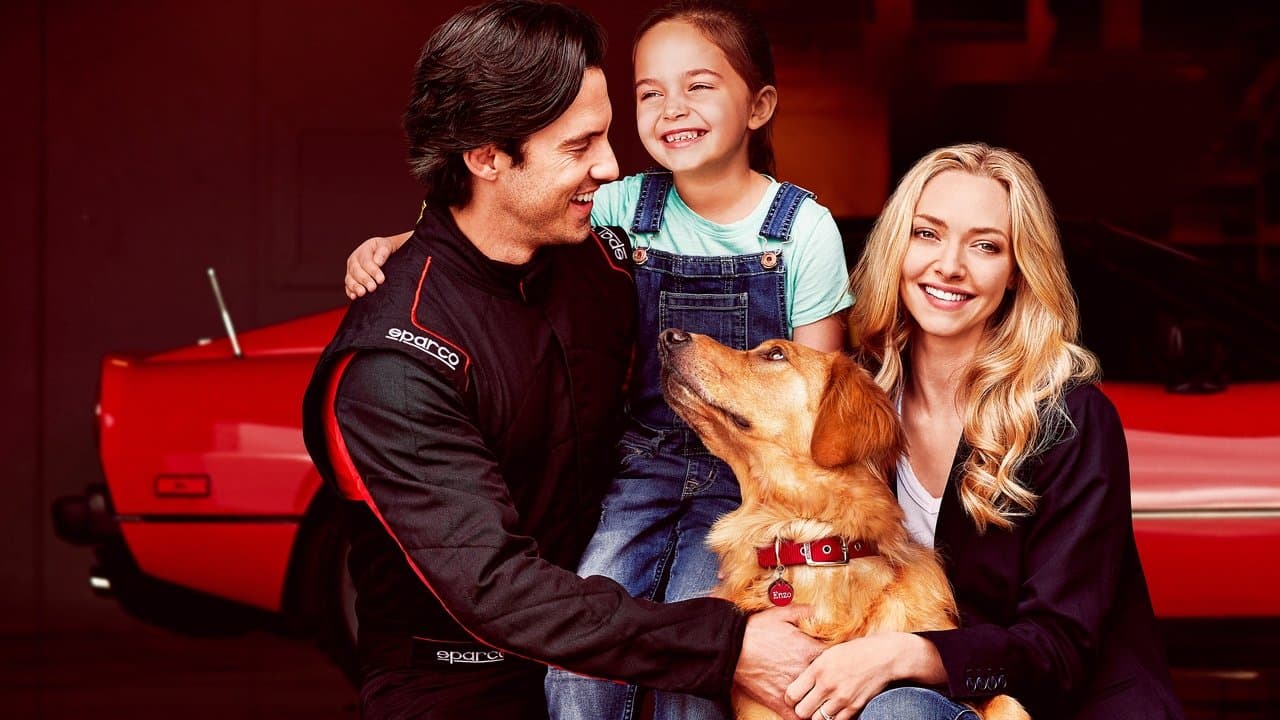 Backdrop – Enzo und die wundersame Welt der Menschen