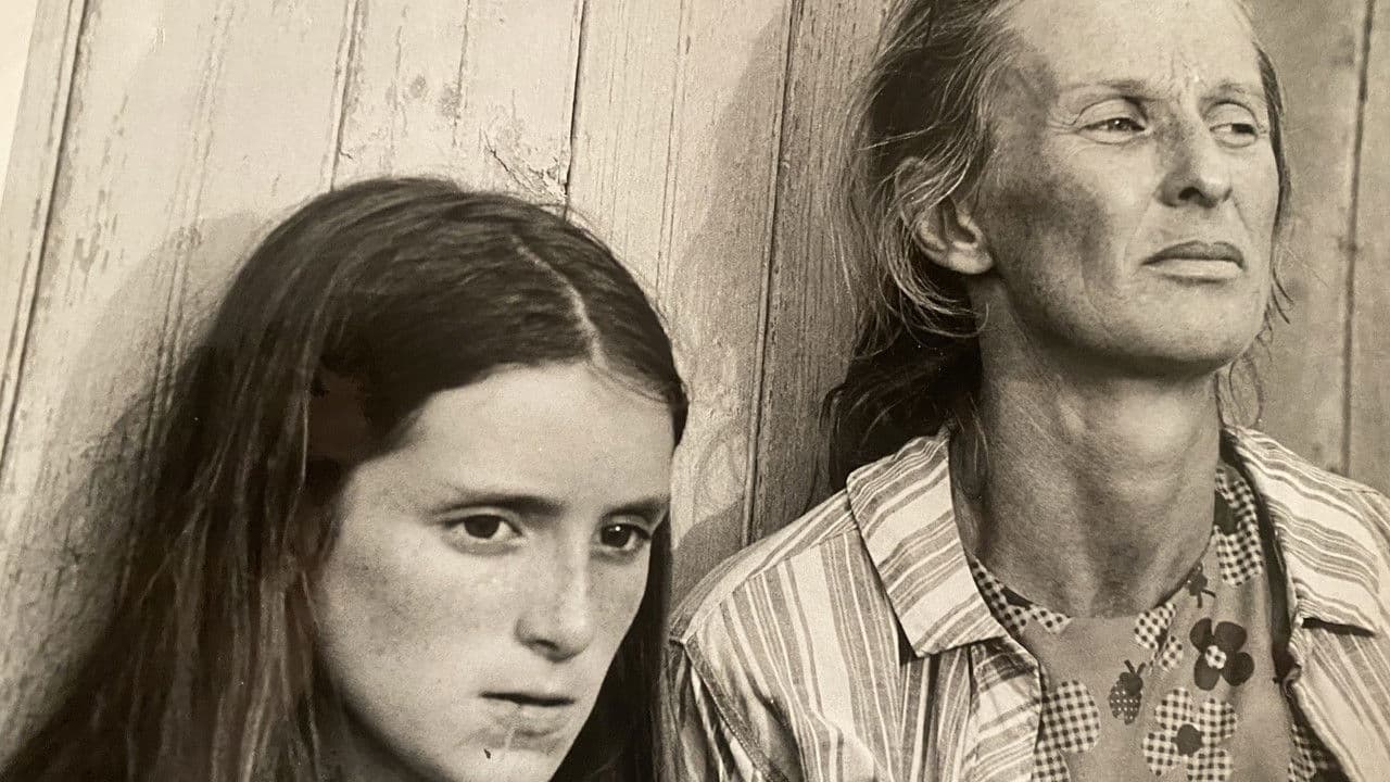 Backdrop – The Migrants