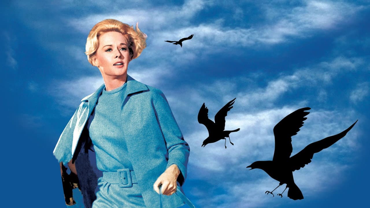 Backdrop – Die Vögel