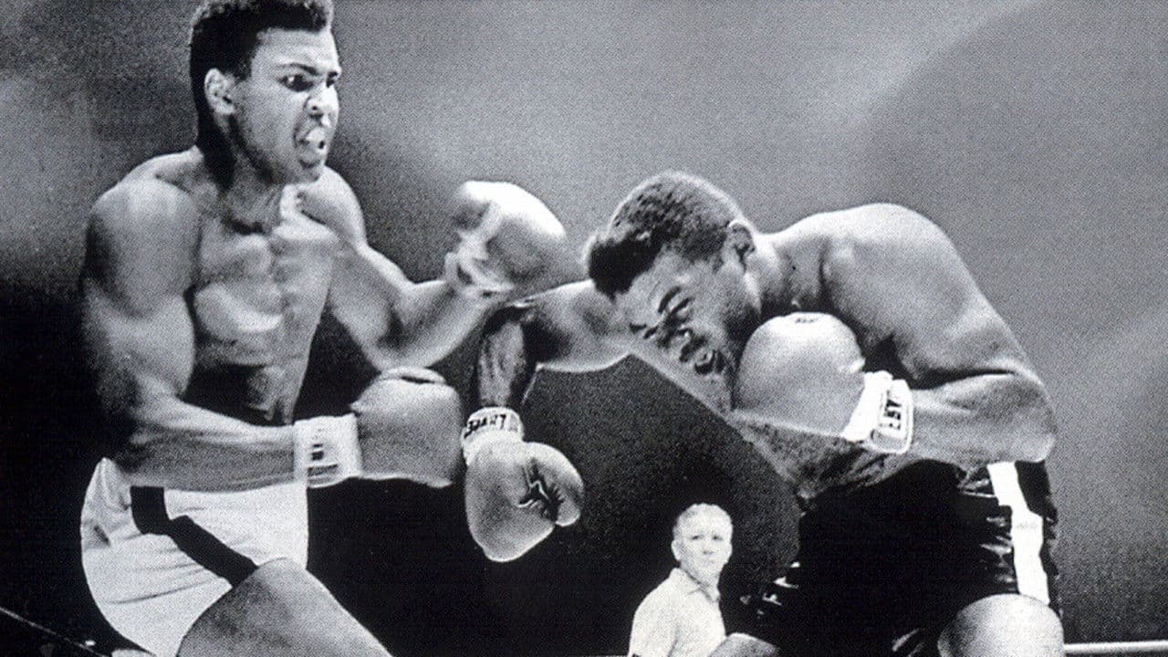 Backdrop – Muhammad Ali - Through The Eyes Of The World