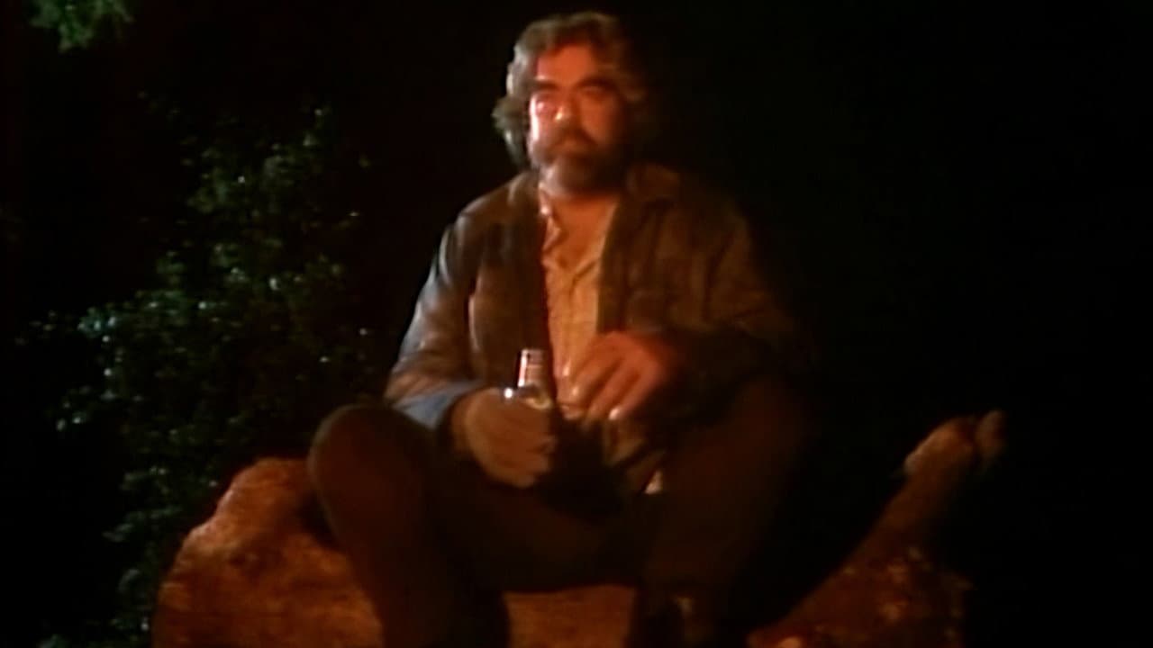 Backdrop – Campfire Tales