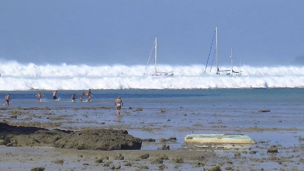Backdrop – Tsunami: Caught on Camera