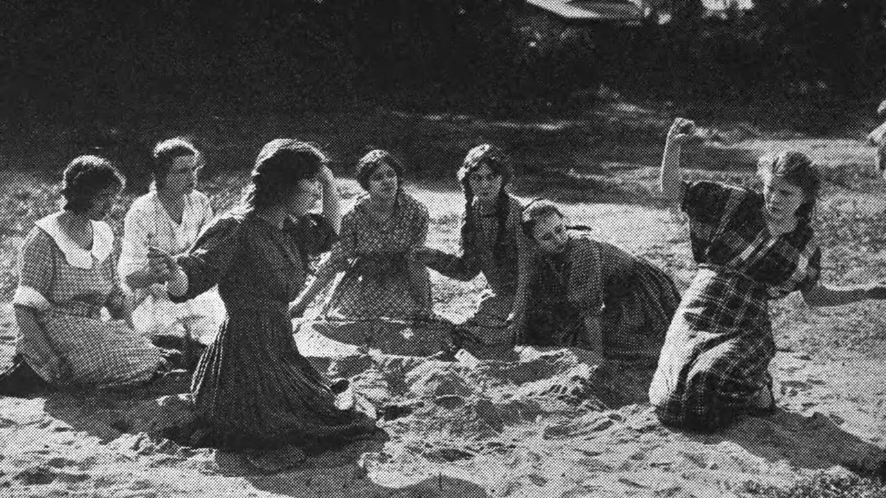 Backdrop – Hoodoo Ann