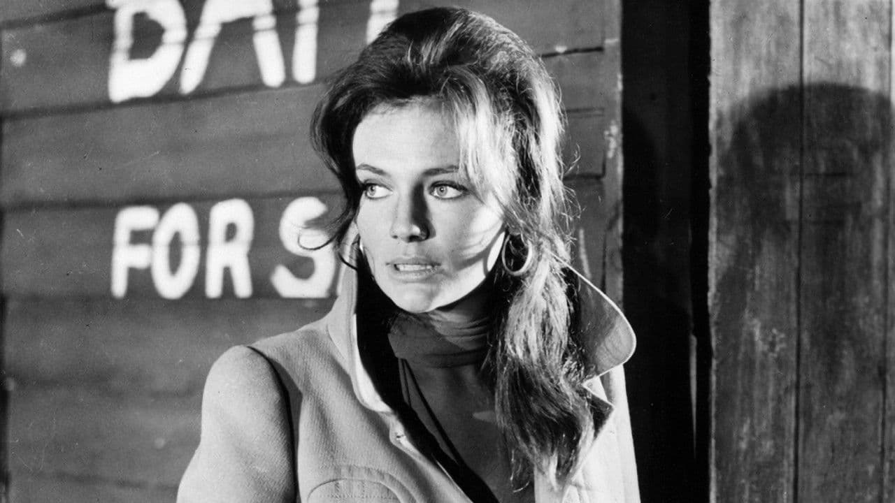 Backdrop – The Cape Town Affair