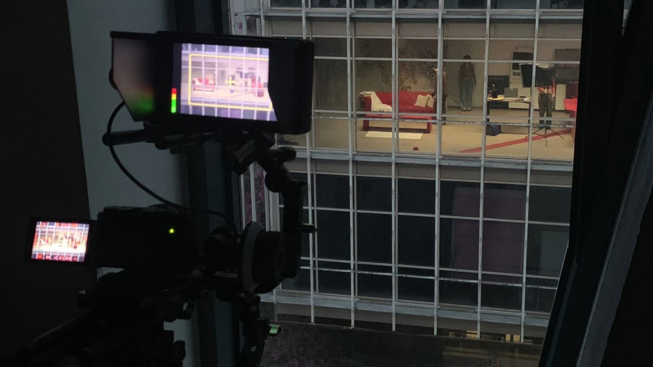 Backdrop – Meow Window