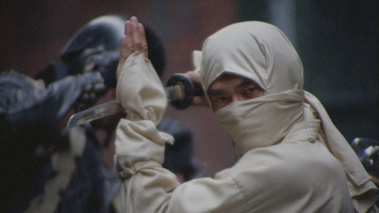 Backdrop – New York Ninja