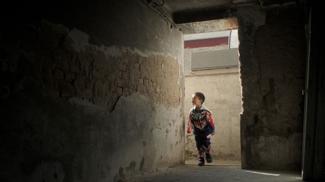 Backdrop – Mao Rong Po