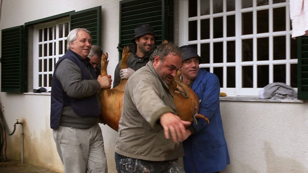 Backdrop – Raul Brandão era um grande escritor...