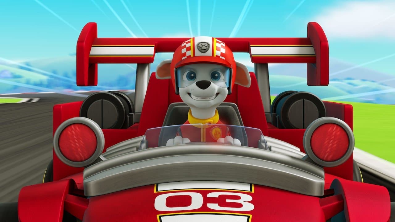 Backdrop – Paw Patrol - Die große Rettungsaktion