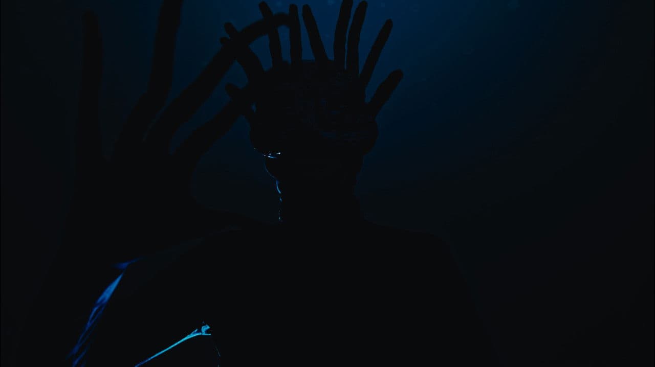 Backdrop – Silhouette