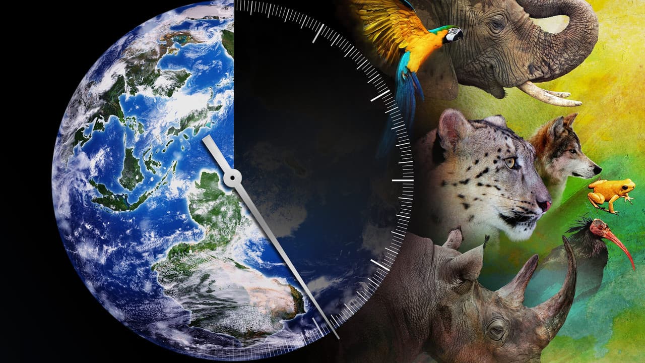 Backdrop – Racing Extinction - Das Ende der Artenvielfalt ?