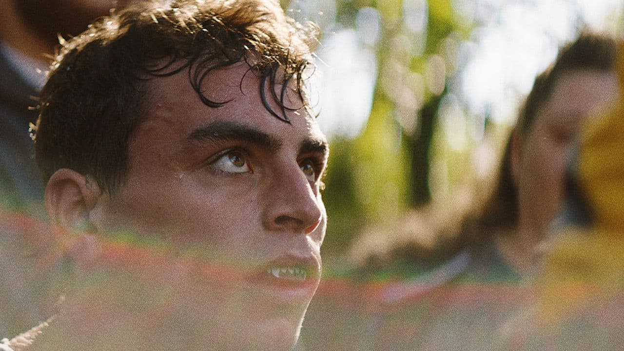 Backdrop – Lions in the Corner