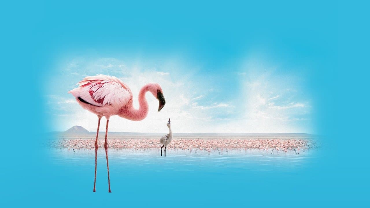 Backdrop – Auf purpurnen Schwingen: Das Geheimnis der Flamingos