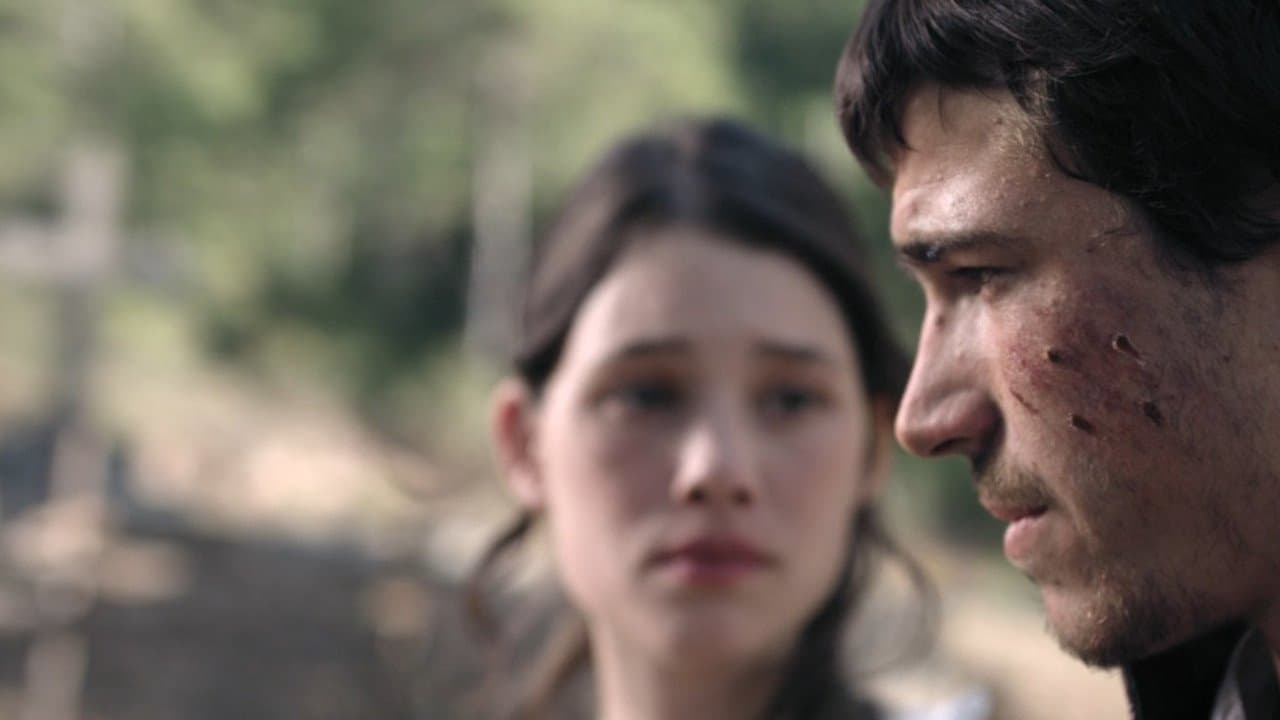 Backdrop – Bruc - Napoleons blutige Niederlage