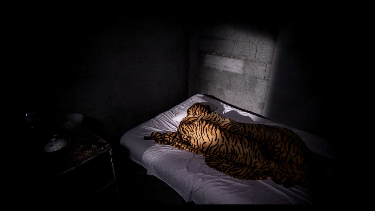 Backdrop – Generous bodies