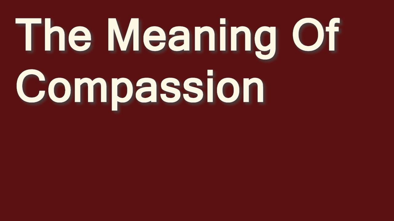 Backdrop – The Meaning of Compassion
