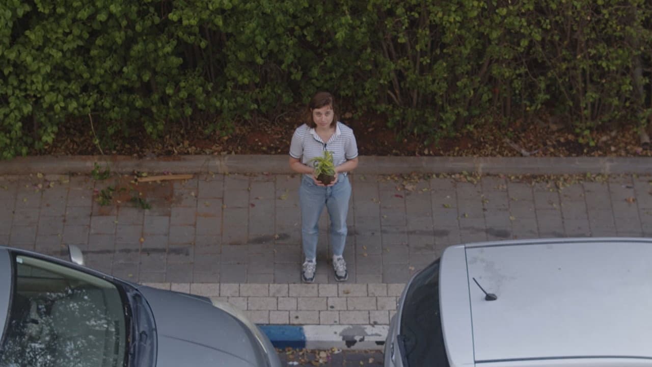 Backdrop – דמורסינכרונוזיס