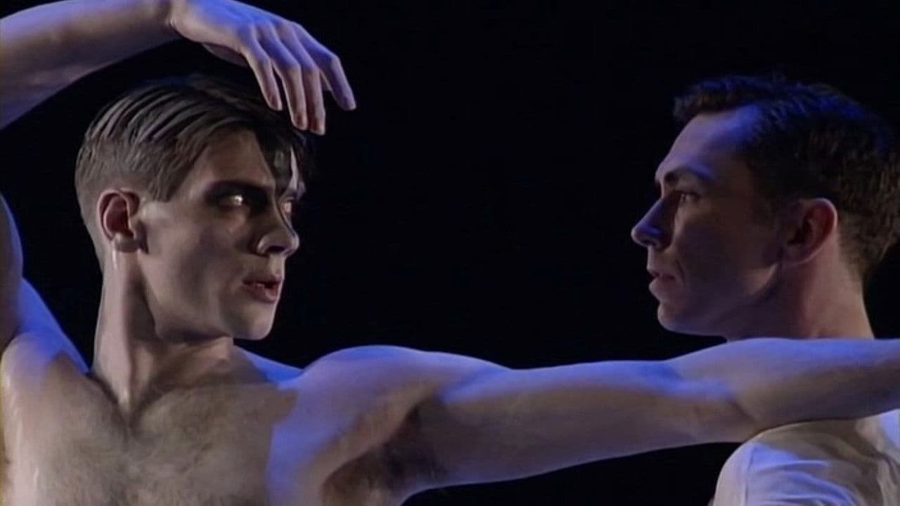 Backdrop – Swan Lake