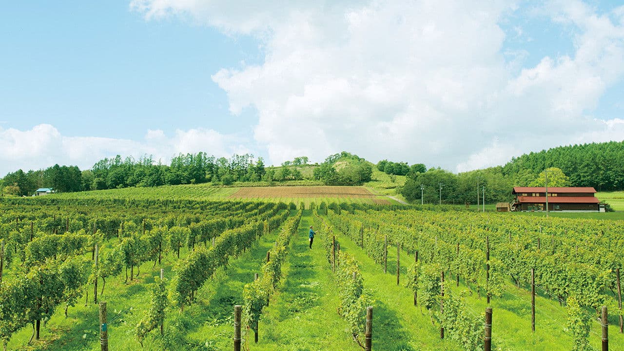 Backdrop – ぶどうのなみだ