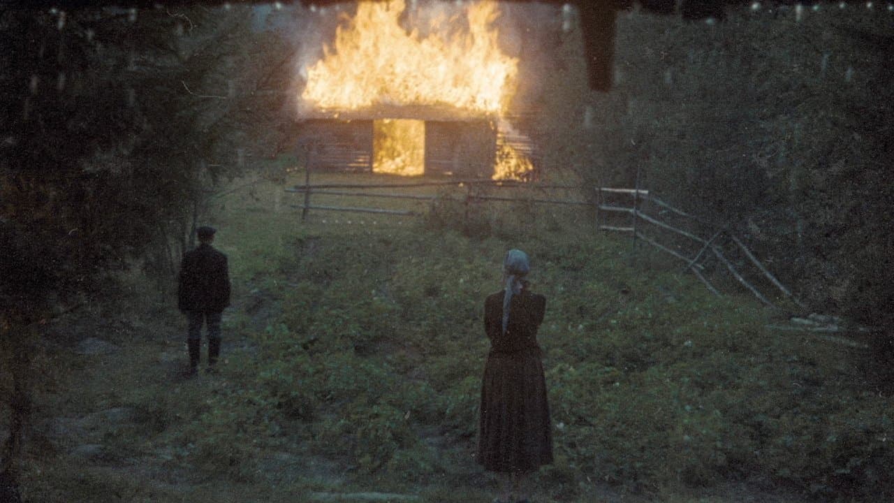 Backdrop – Der Spiegel