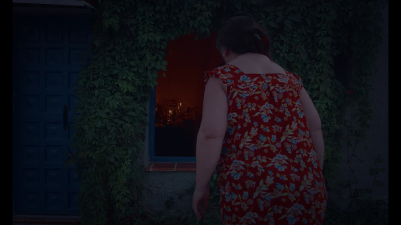 Backdrop – La Curiosidad Mató al Gato