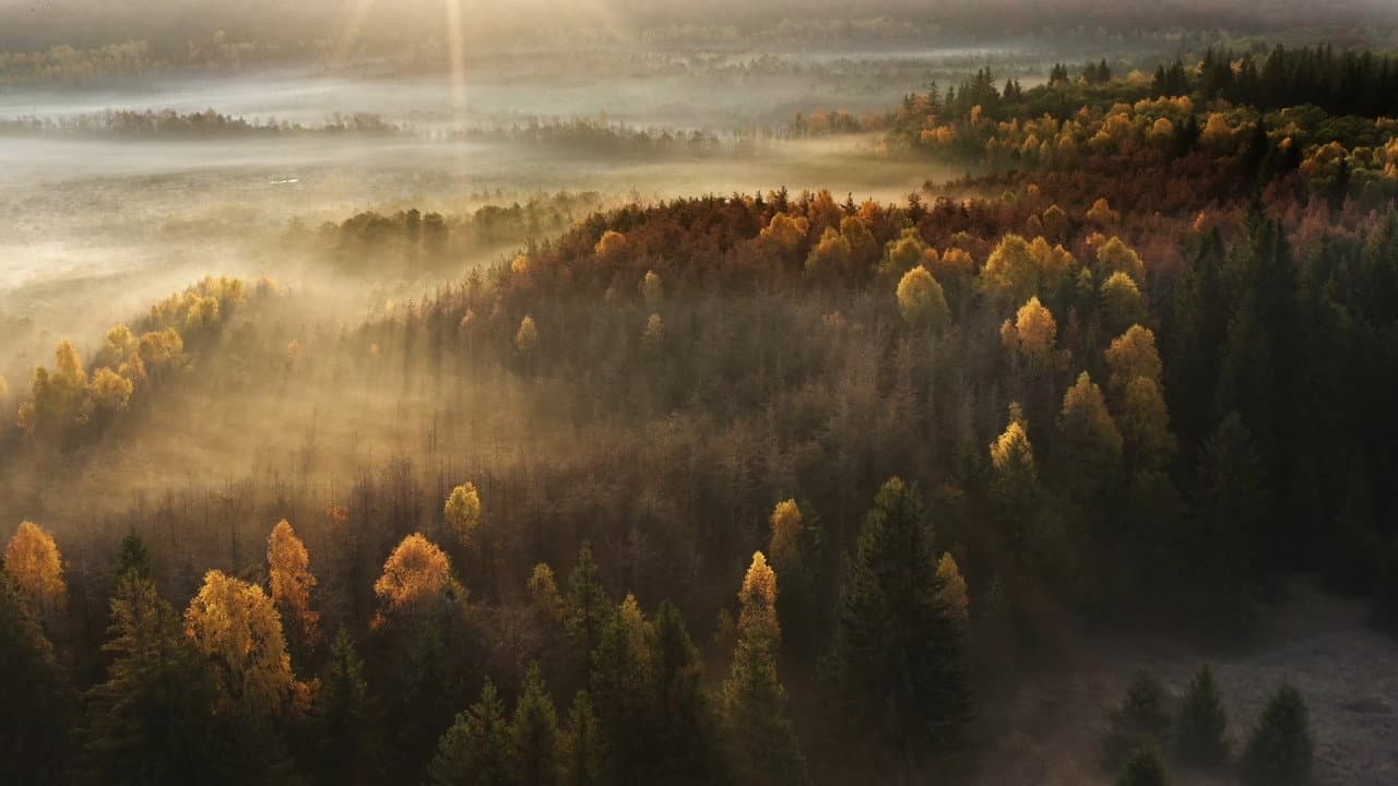 Backdrop – România Sălbatică