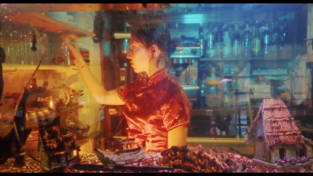 Backdrop – Des Carpes et des Éléphants