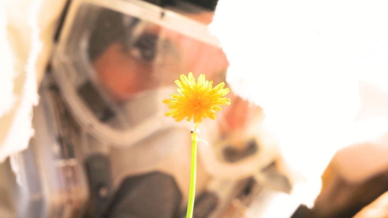 Backdrop – Bajo el Sol