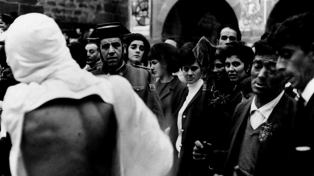 Backdrop – Lejos de los árboles