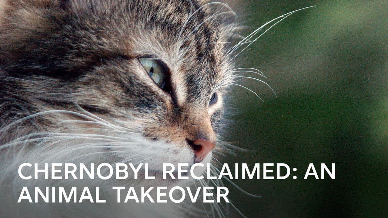 Backdrop – Chernobyl Reclaimed: An Animal Takeover
