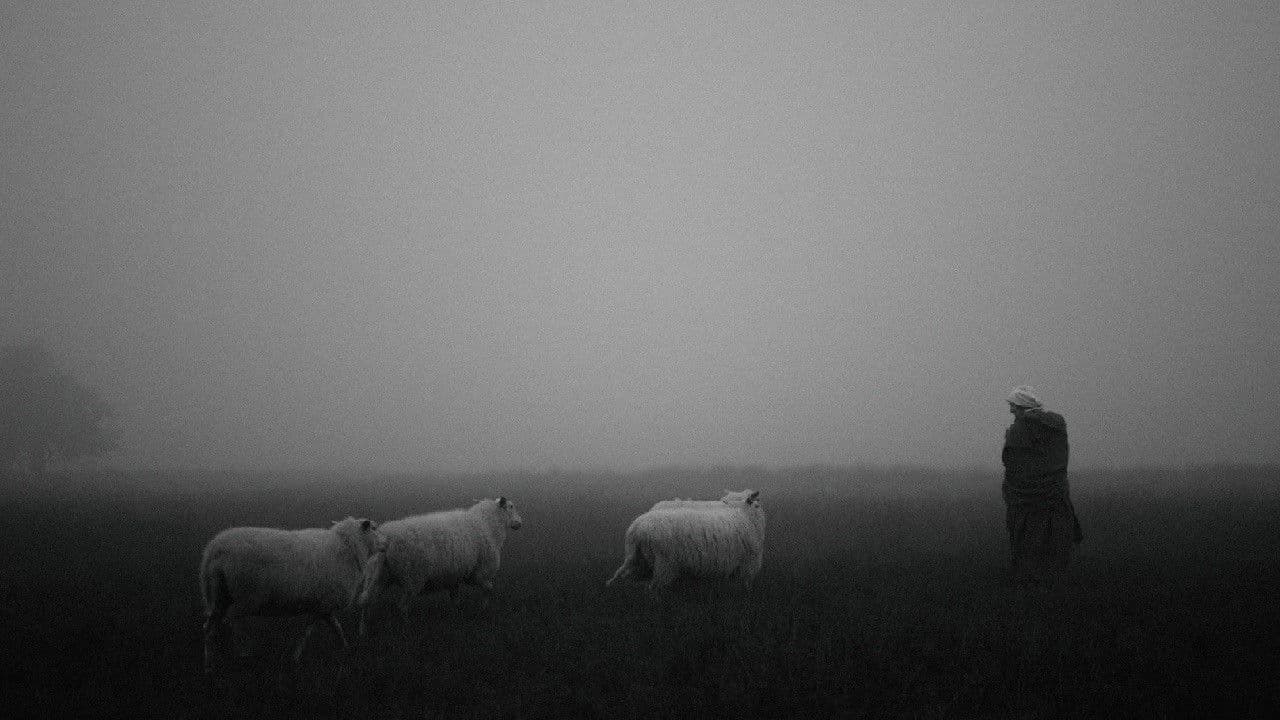 Backdrop – Barlebas