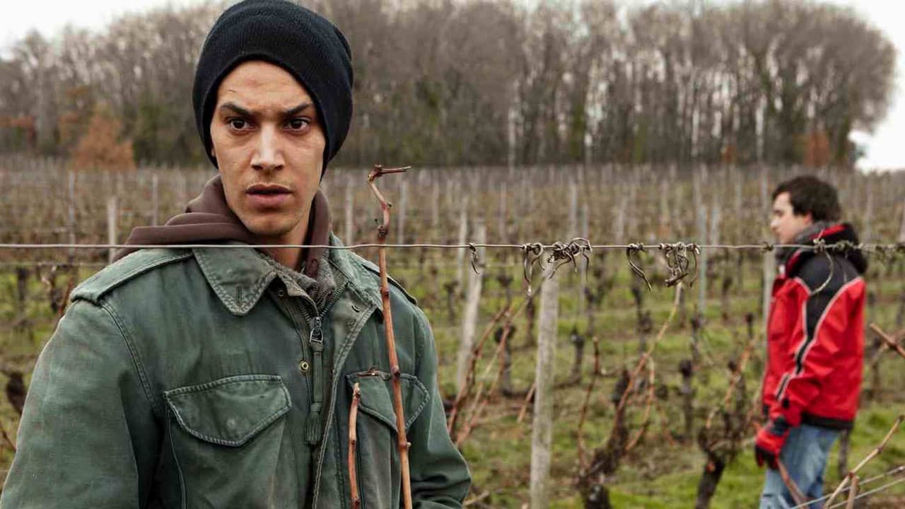 Backdrop – Amsterdam