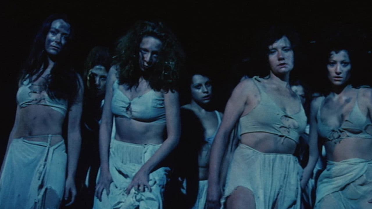 Backdrop – El monte de las brujas