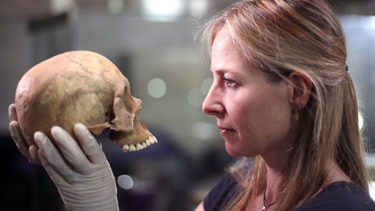 Backdrop – The Greatest Tomb on Earth: Secrets of Ancient China