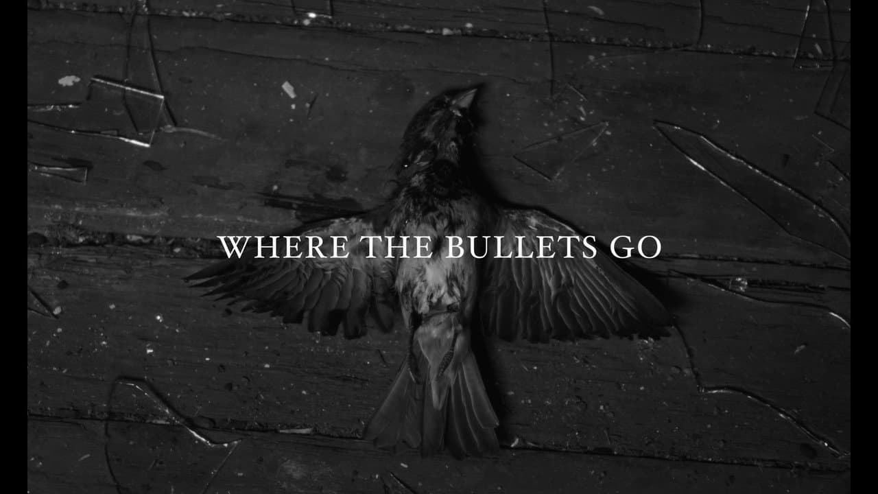 Backdrop – Where the Bullets Go