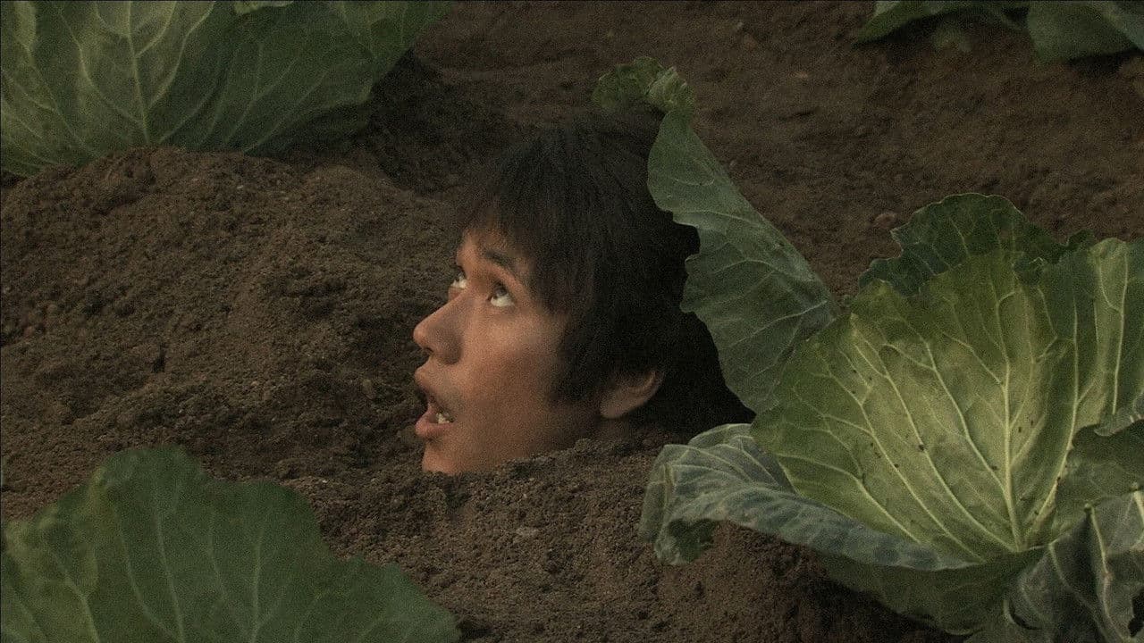 Backdrop – ウルトラミラクルラブストーリー