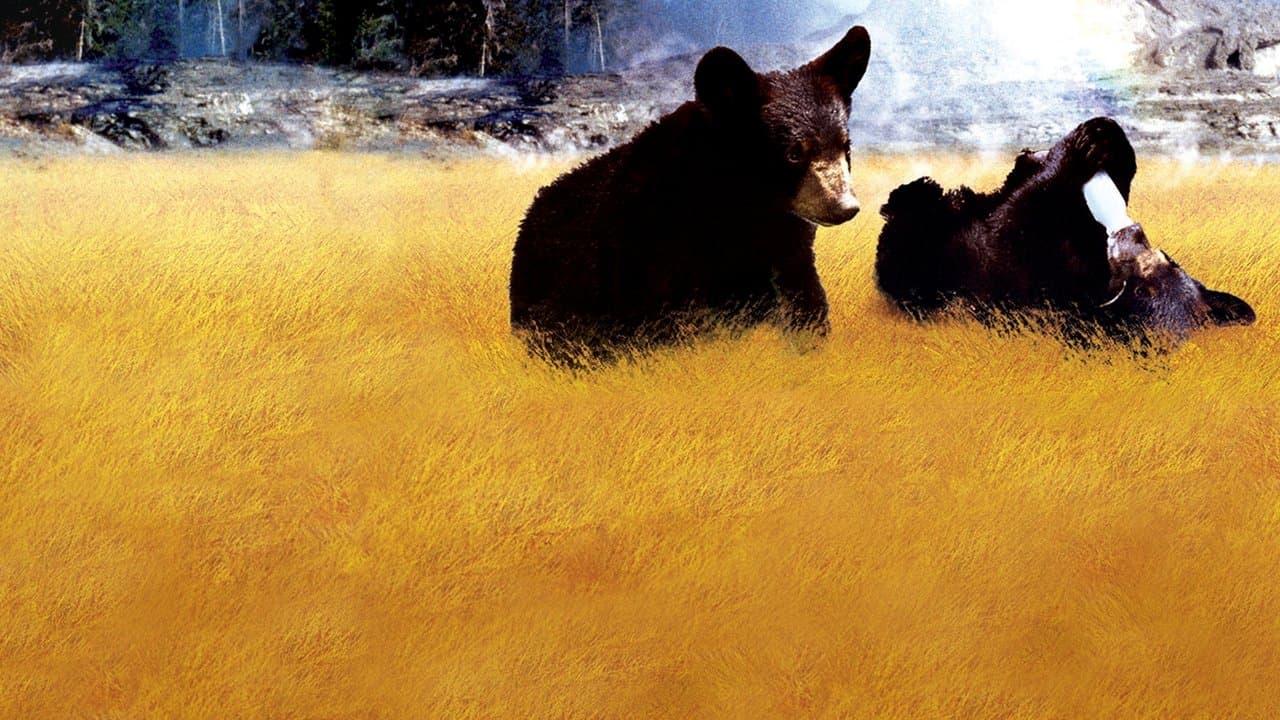Backdrop – Yellowstone Cubs