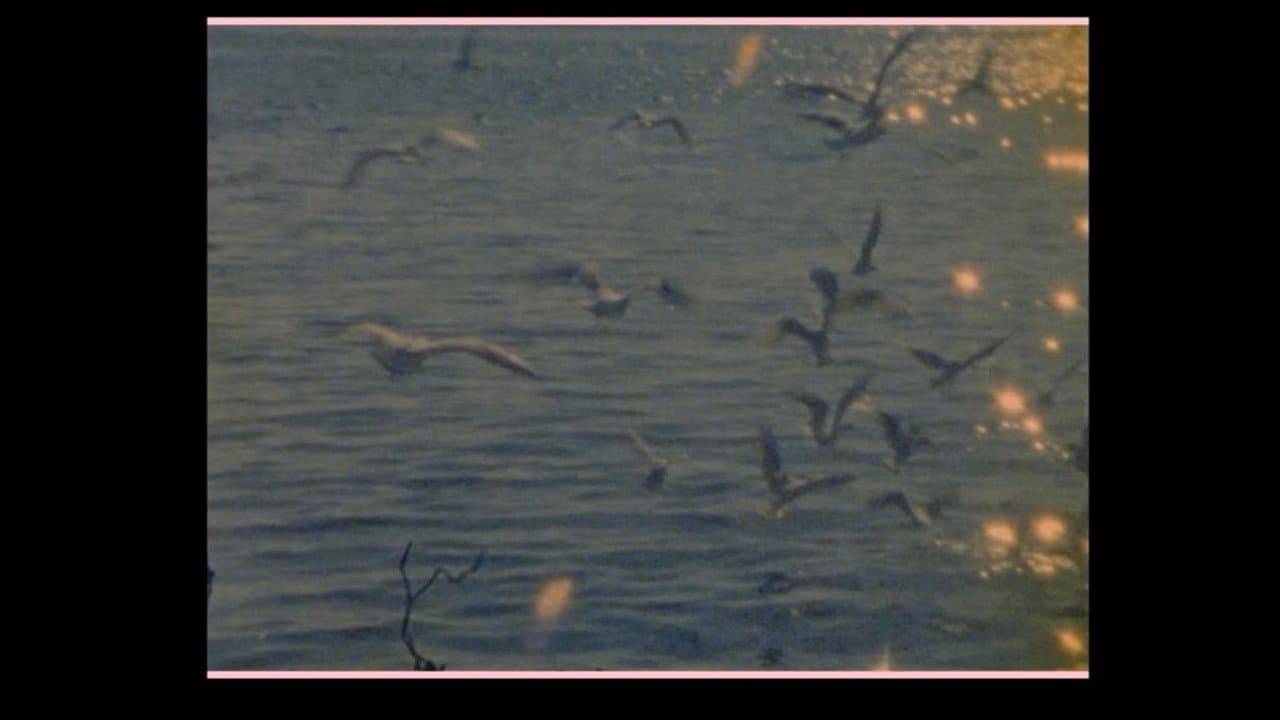 Backdrop – Les oiseaux vont mourir au Pérou