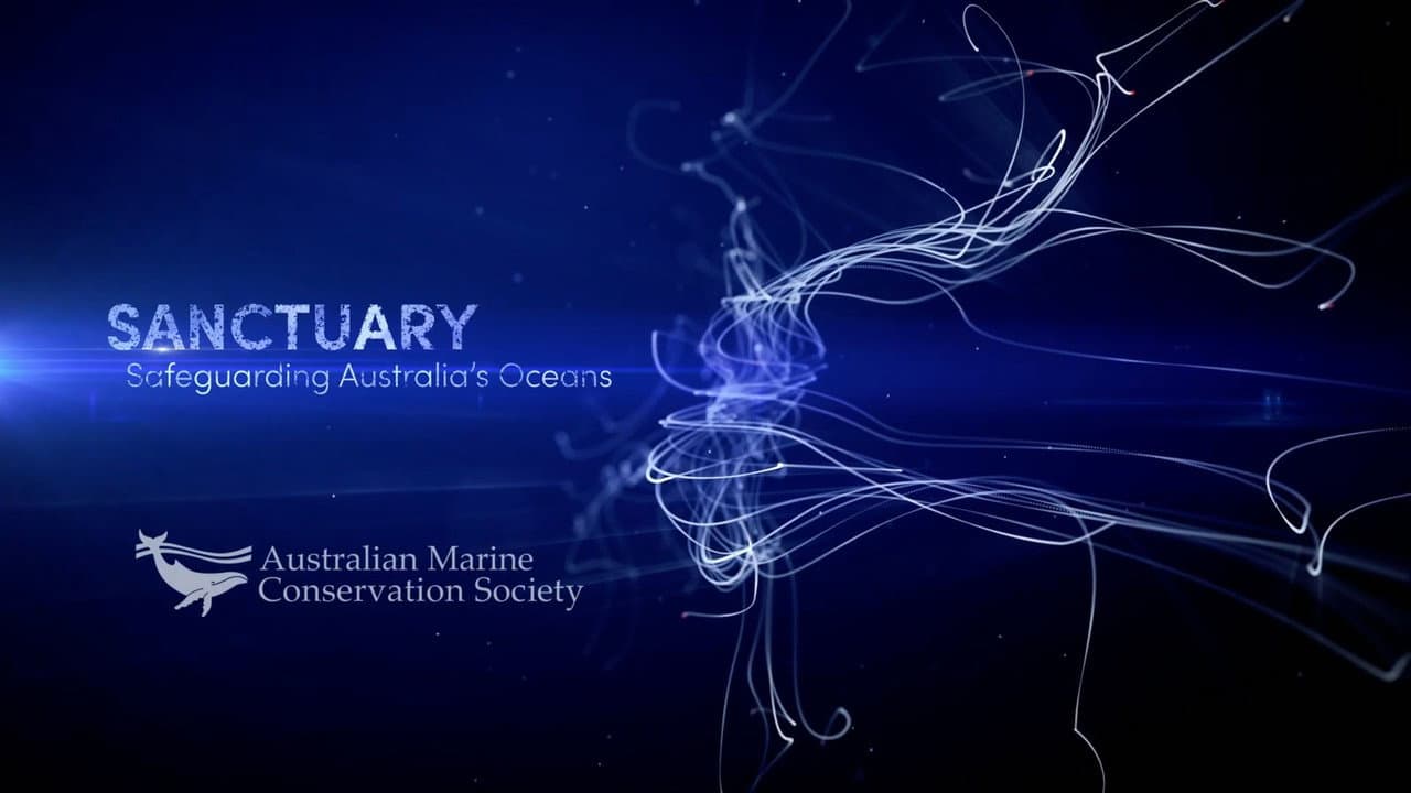 Backdrop – SANCTUARY - Safeguarding Australia's Oceans