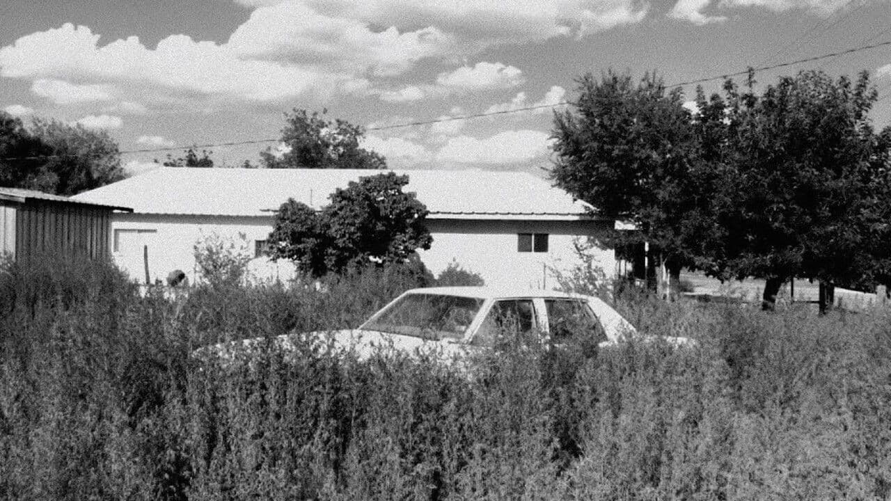 Backdrop – Limbs of Sun