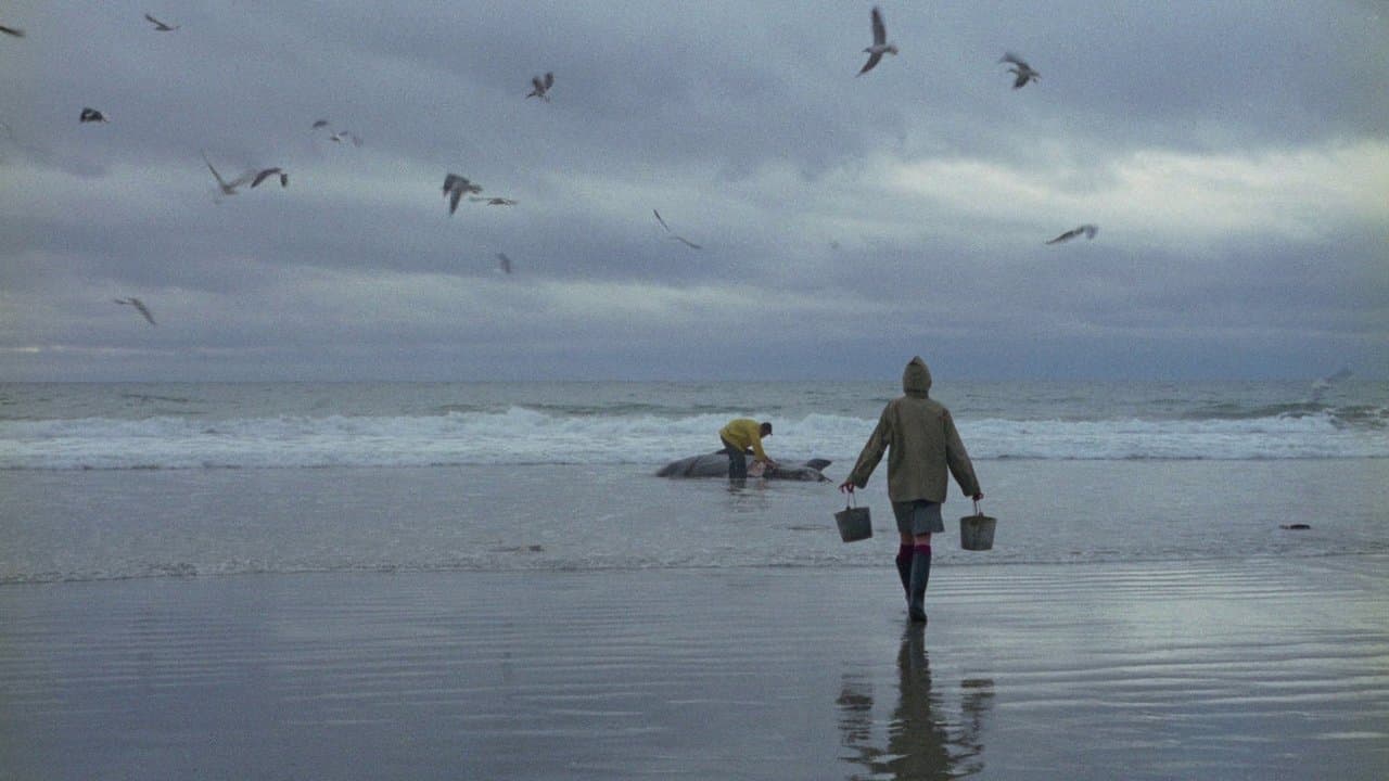 Backdrop – Mein Freund, der Otter