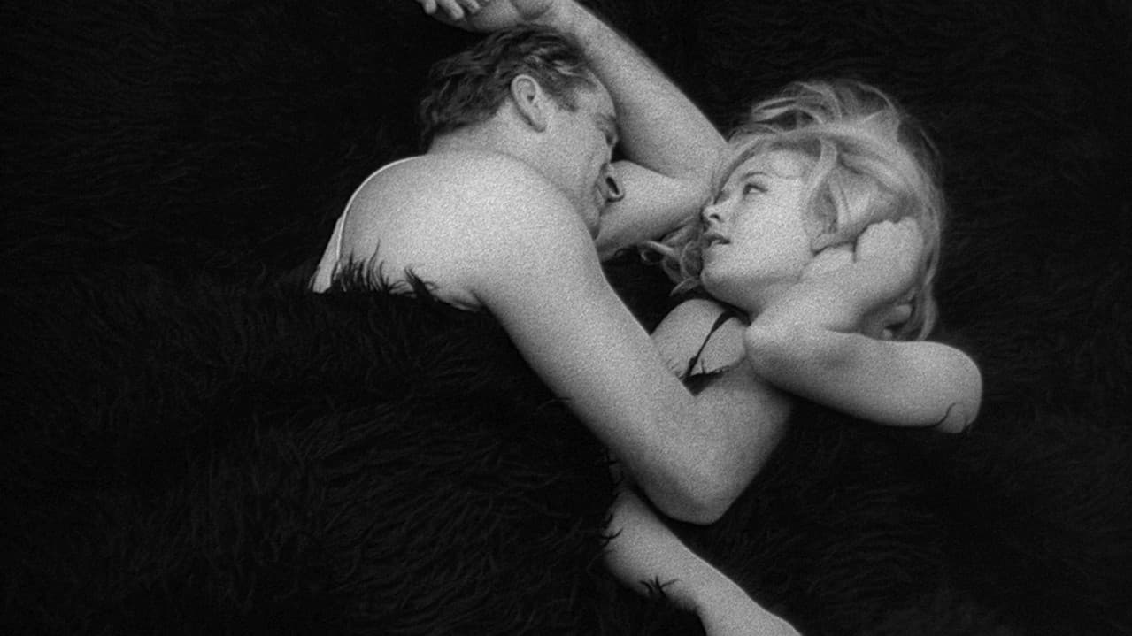 Backdrop – Čovek nije tica