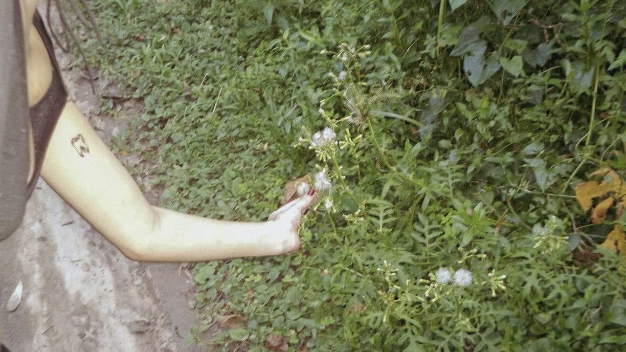 Backdrop – o céu diante dos meus olhos nunca é cinza