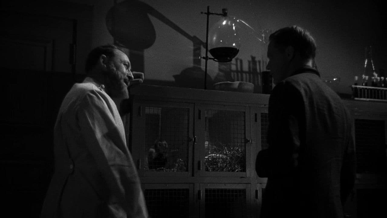 Backdrop – The Mad Doctor of Market Street