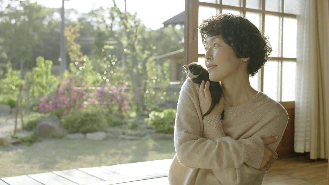 Backdrop – 山のトムさん