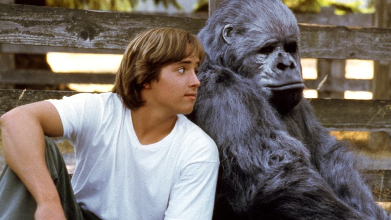 Backdrop – Gorilla auf der Flucht