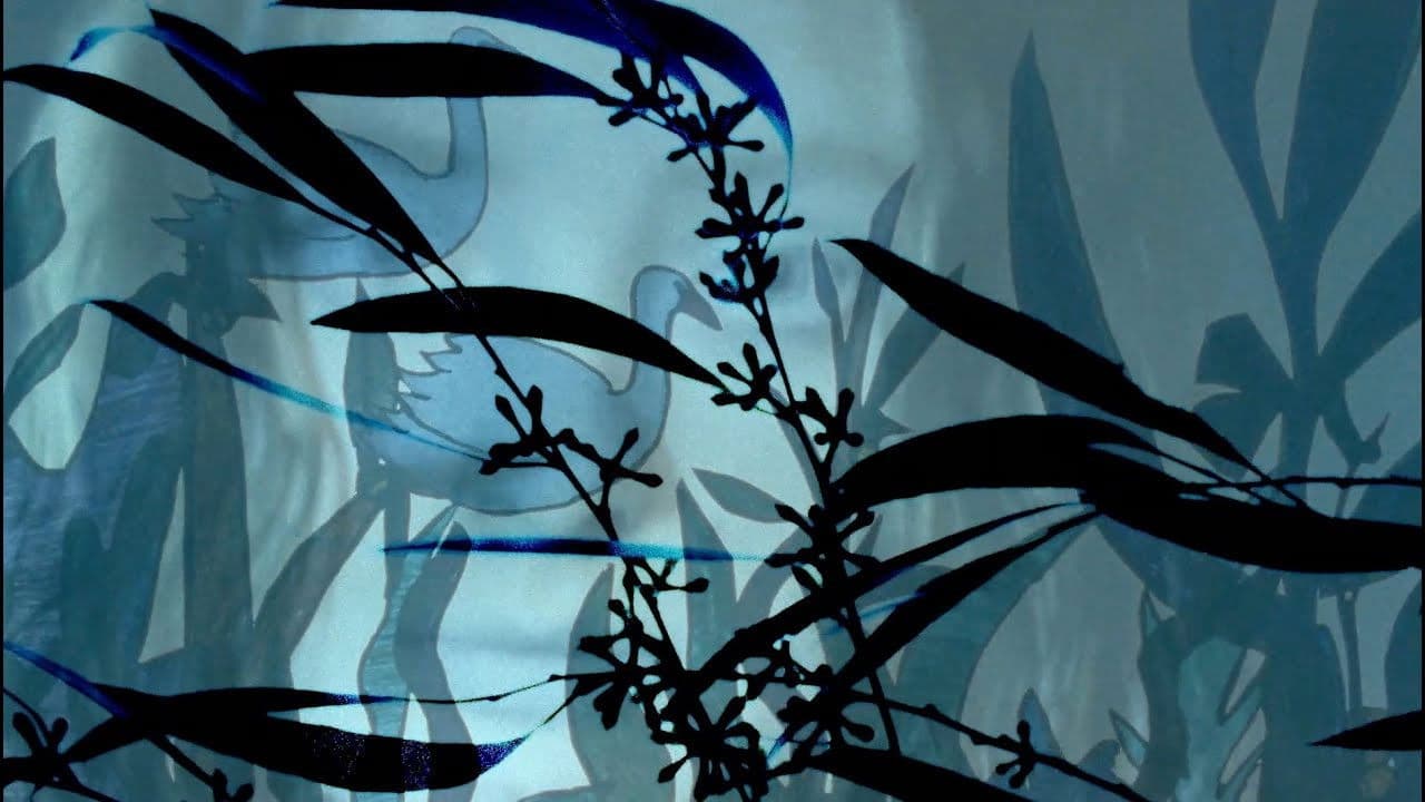 Backdrop – Severn Wild