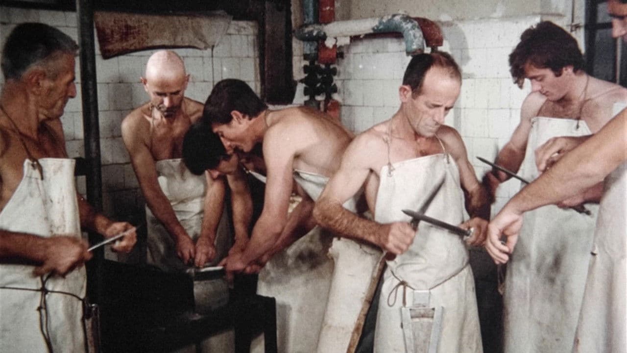 Backdrop – In continuo