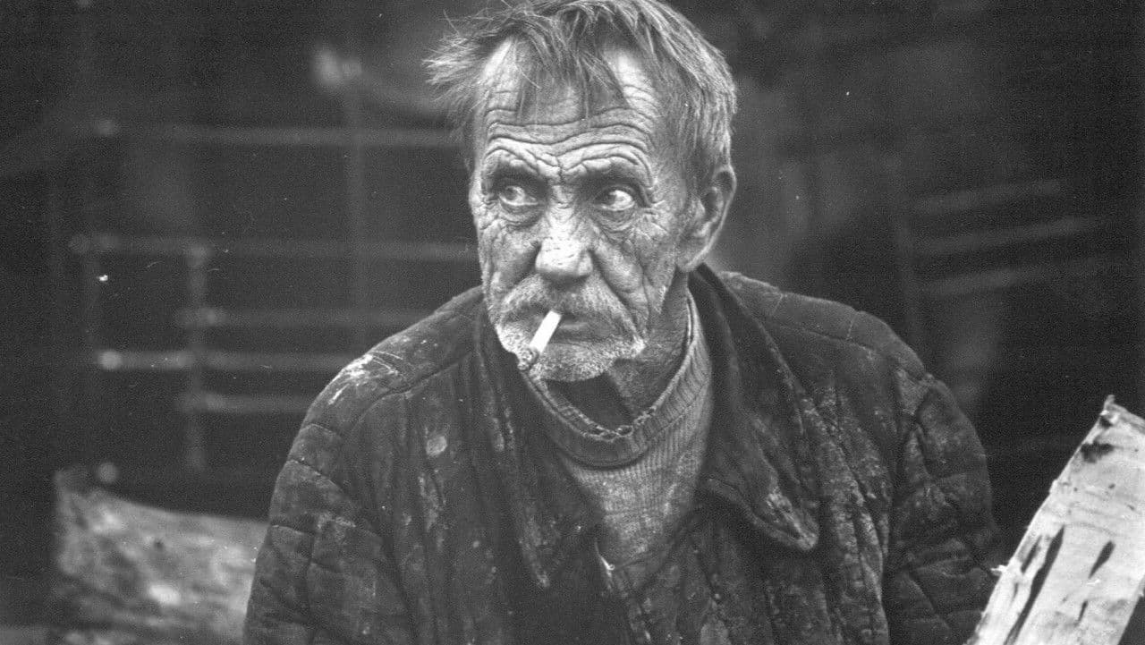 Backdrop – Настасья и Фомка