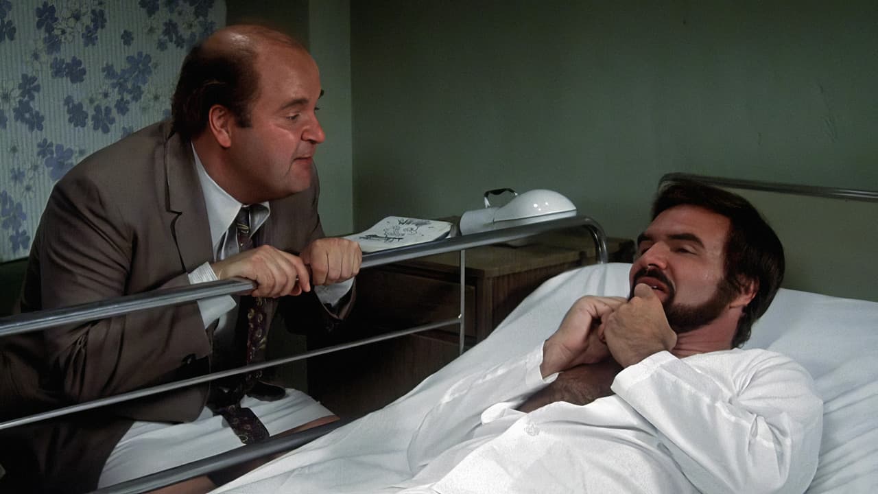 Backdrop – Nobody Is Perfect